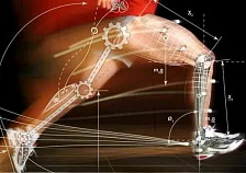 Открытая лекция по биомеханике спорта для студентов МГГТК АГУ